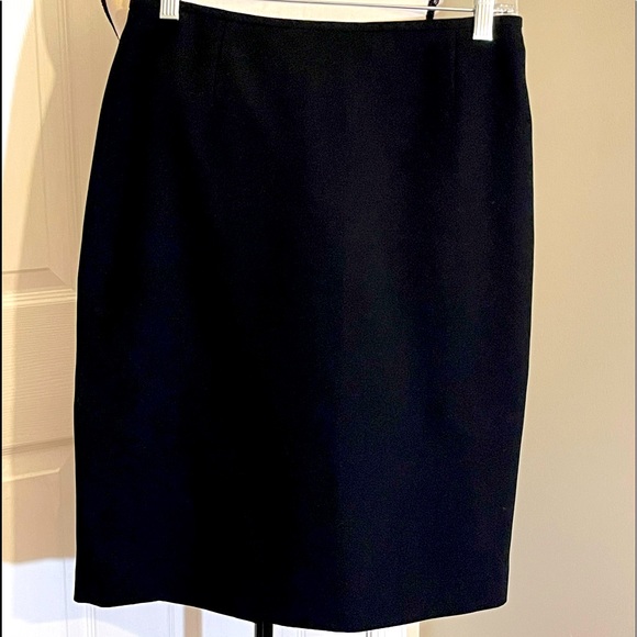 The limited skirt - Picture 1 of 2